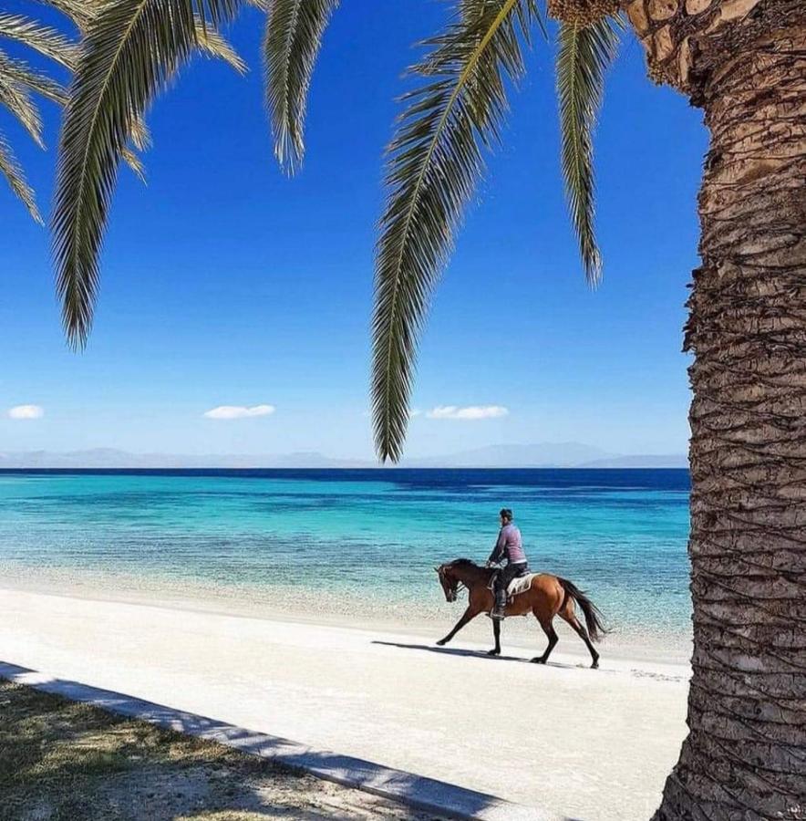 SantʼAntìoco Casa Blu Oltremareヴィラ エクステリア 写真